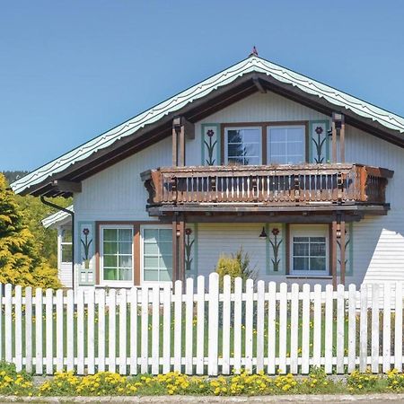 Villa Galerie Haus à Braunlage Extérieur photo