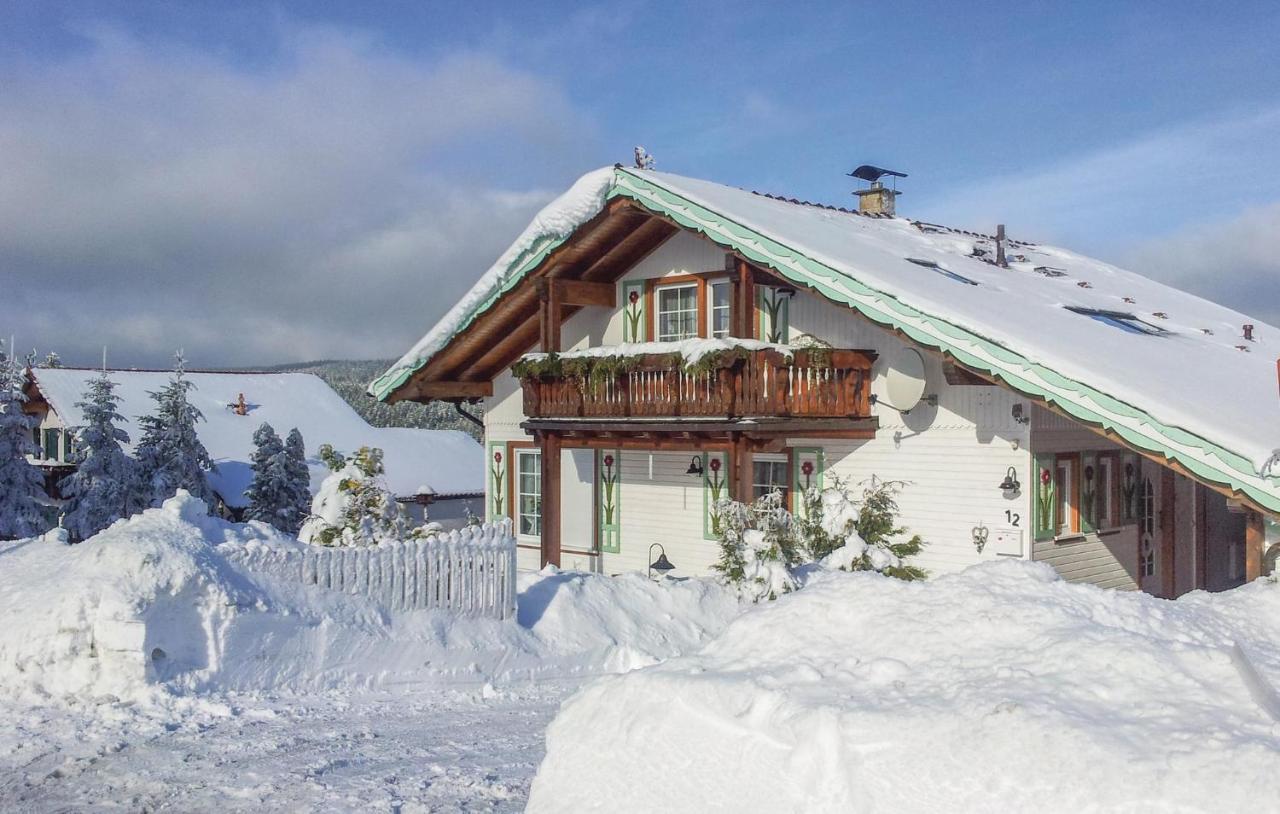 Villa Galerie Haus à Braunlage Extérieur photo