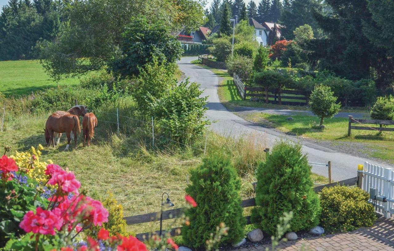 Villa Galerie Haus à Braunlage Extérieur photo