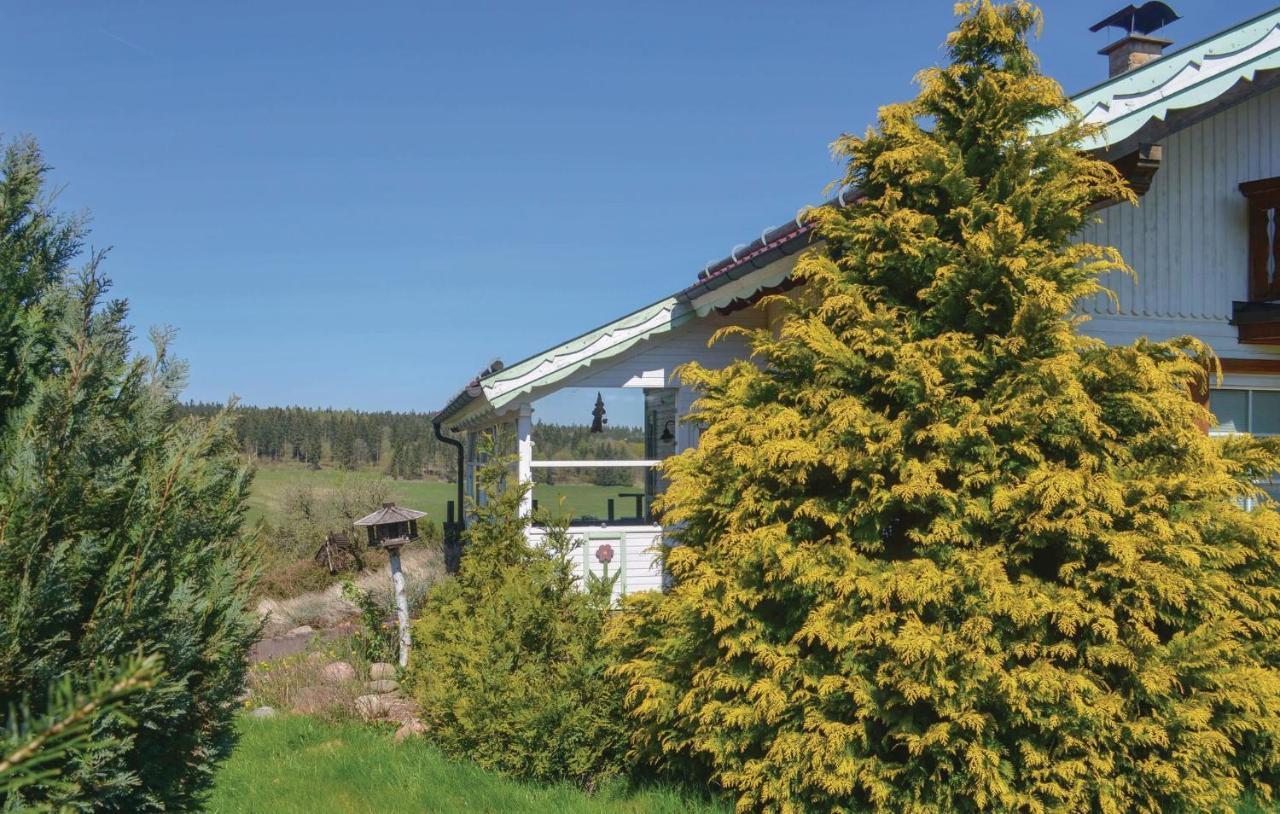 Villa Galerie Haus à Braunlage Extérieur photo